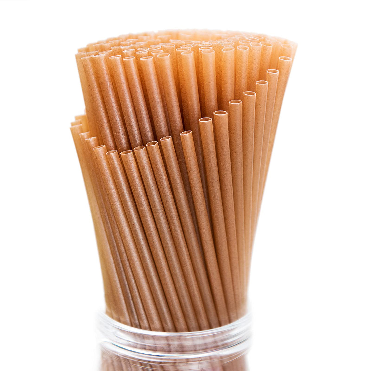 Thin 5 in - Natural Agave - Stirrer Straw