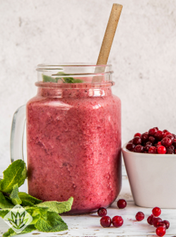 Jumbo 8.25 in - Natural Agave - Smoothie Straw